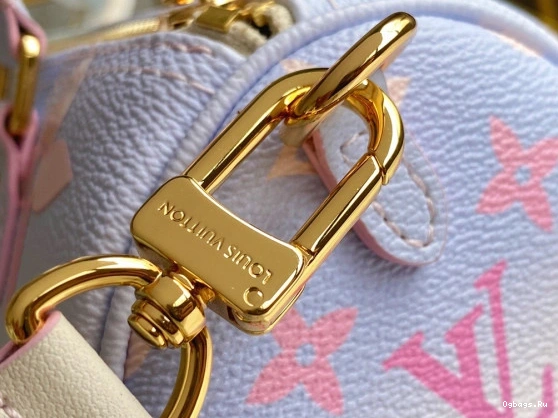 LOUIS PAPILLON BB VUITTON 0310